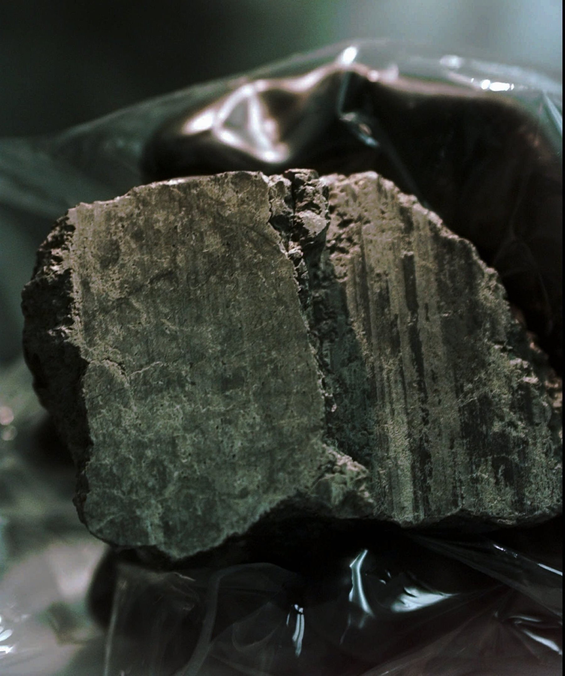   Meteorit berlabel ALH84001 dipegang oleh seorang ilmuwan di laboratorium Johnson Space Center di Houston, 7 Agustus 1996. (AP Photo/David J. Phillip)