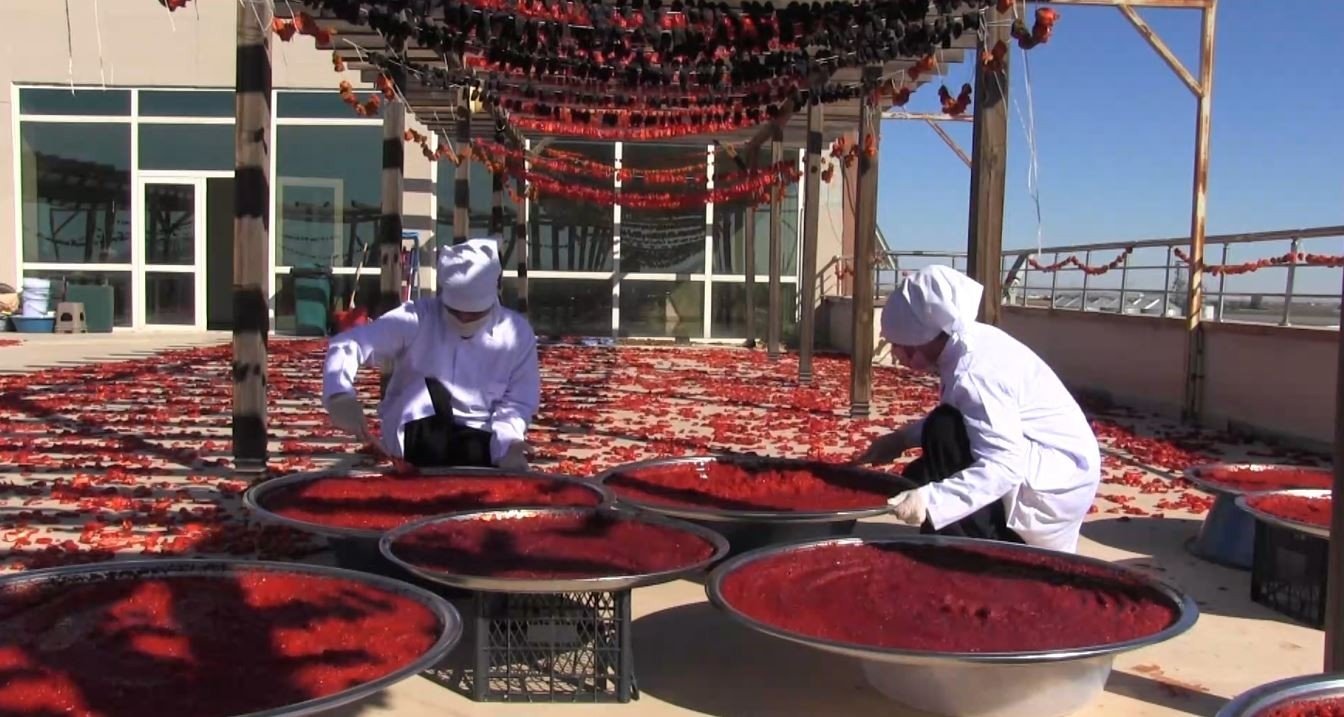 Members of the all-female cooperative produce pepper paste, Şanlıurfa, southeastern Turkey, January 16, 2022. (IHA Photo)