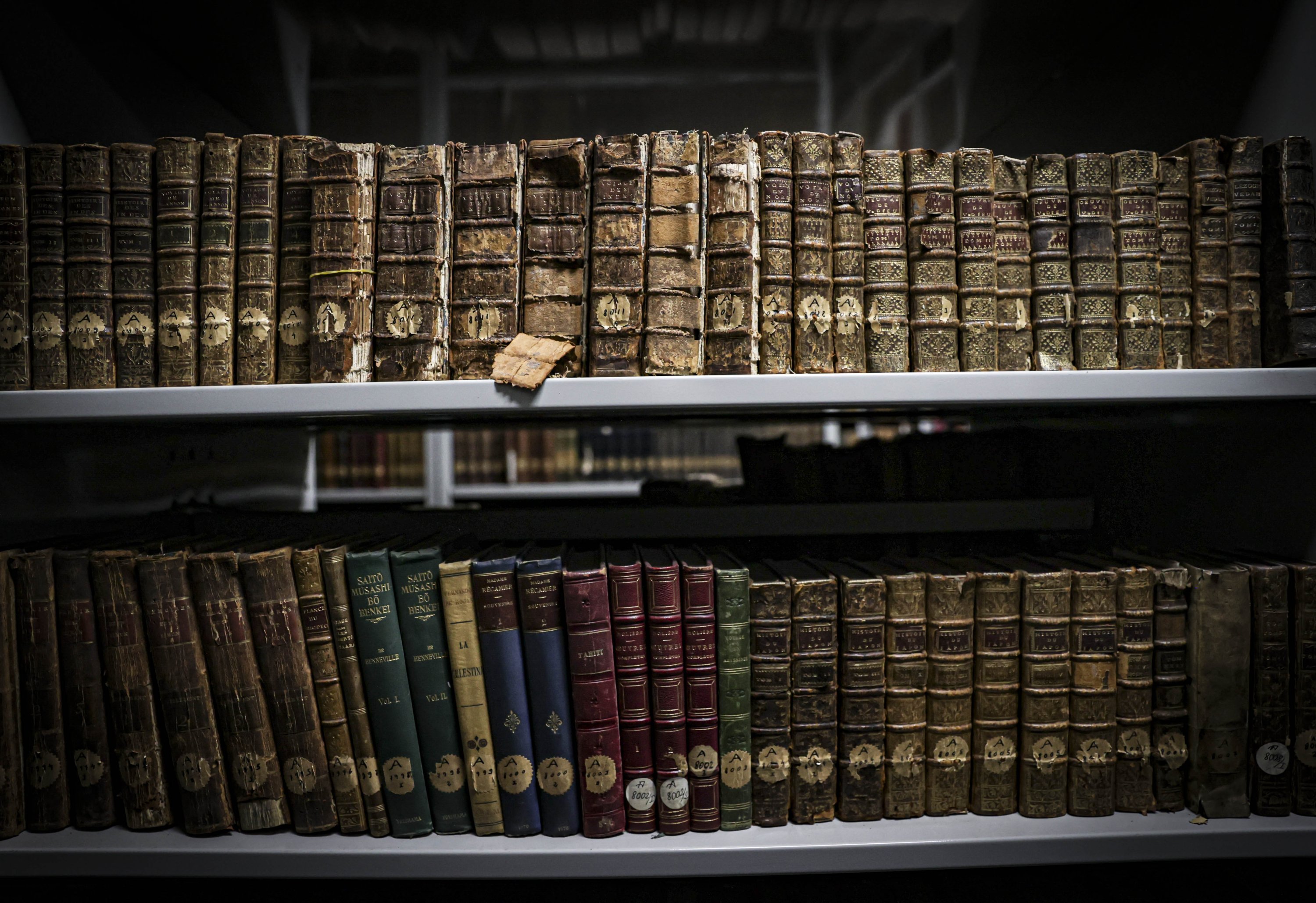 Pemandangan buku di Perpustakaan TTK, Ankara, Turki, 18 Januari 2022. (AA)