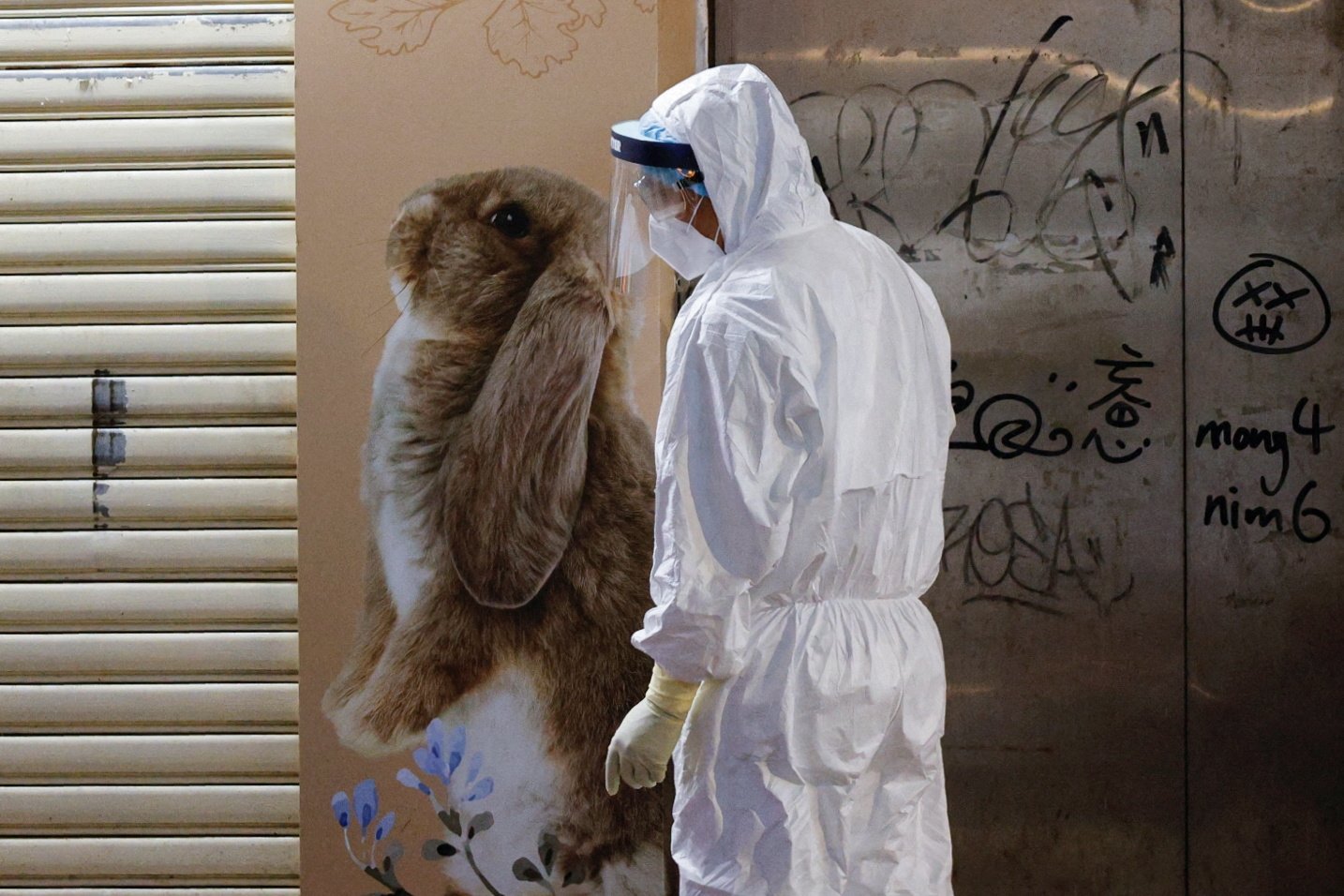 A wildlife officer with personal protective equipment is seen outside a temporarily closed pet shop, after the government announced to euthanize around 2,000 hamsters in the city after finding evidence for the first time of possible animal-to-human transmission of coronavirus, in Hong Kong, China, Jan. 18, 2022. (Reuters Photo)