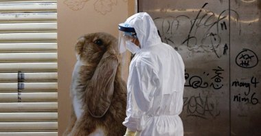 A wildlife officer with personal protective equipment is seen outside a temporarily closed pet shop, after the government announced to euthanize around 2,000 hamsters in the city after finding evidence for the first time of possible animal-to-human transmission of coronavirus, in Hong Kong, China, Jan. 18, 2022. (Reuters Photo)