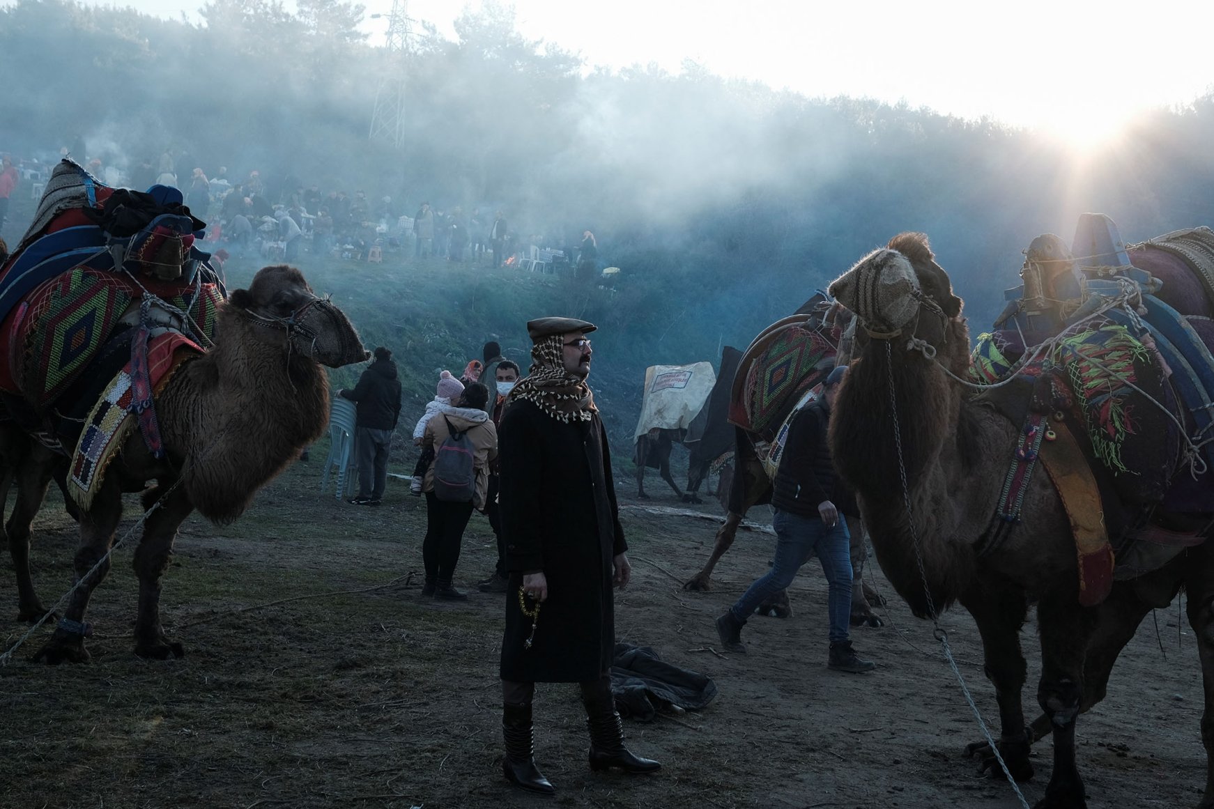 40th Camel Wrestling Festival In Turkey's Selçuk | Daily Sabah