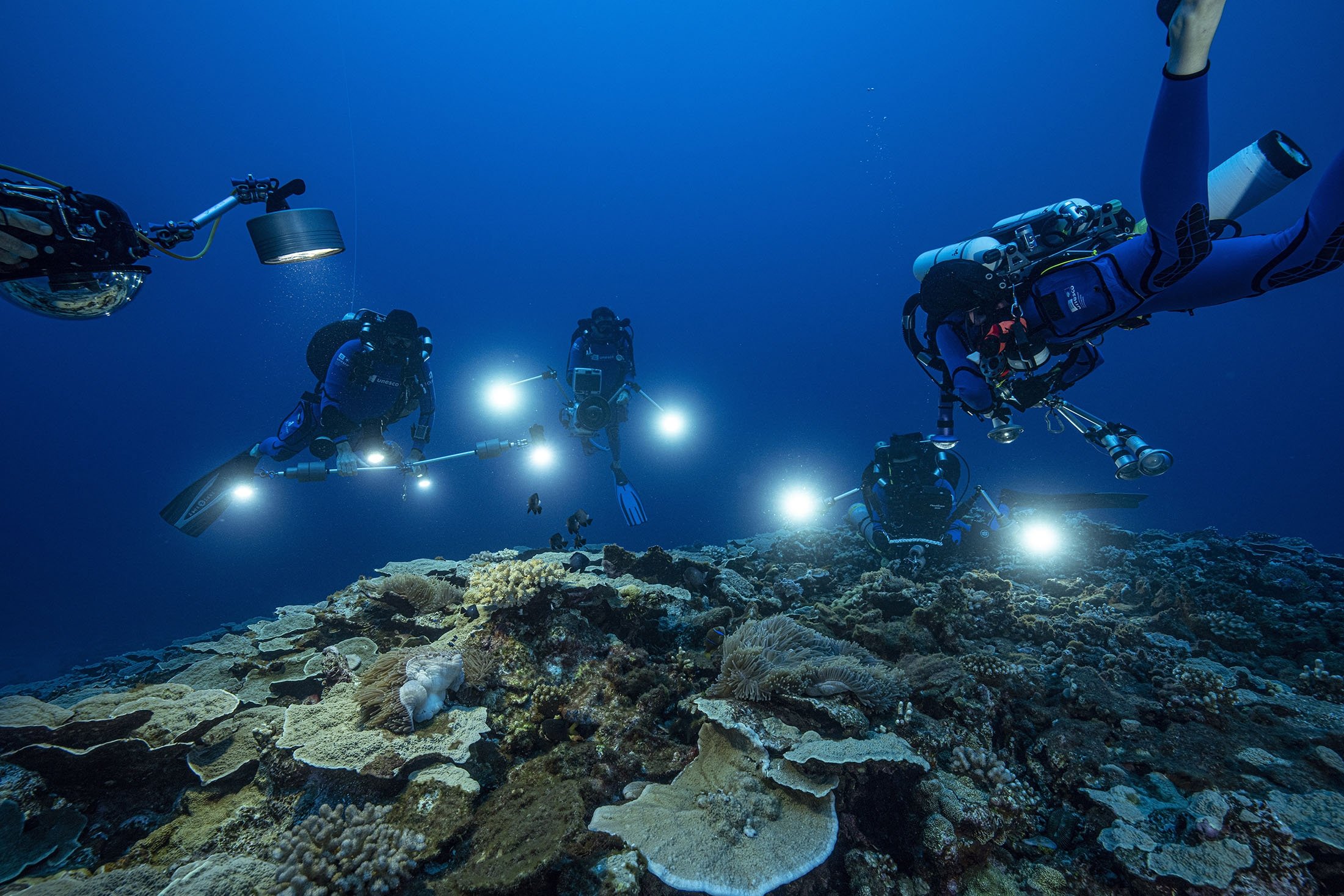Para peneliti dari Pusat Penelitian Ilmiah Nasional Prancis mempelajari karang di perairan lepas pantai Tahiti, Polinesia Prancis, Desember 2021. (Alexis Rosenfeld via AP)