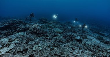 Researchers for the French National Center for Scientific Research study corals in the waters off the coast of Tahiti of the French Polynesia, Dec., 2021. (Alexis Rosenfeld via AP)