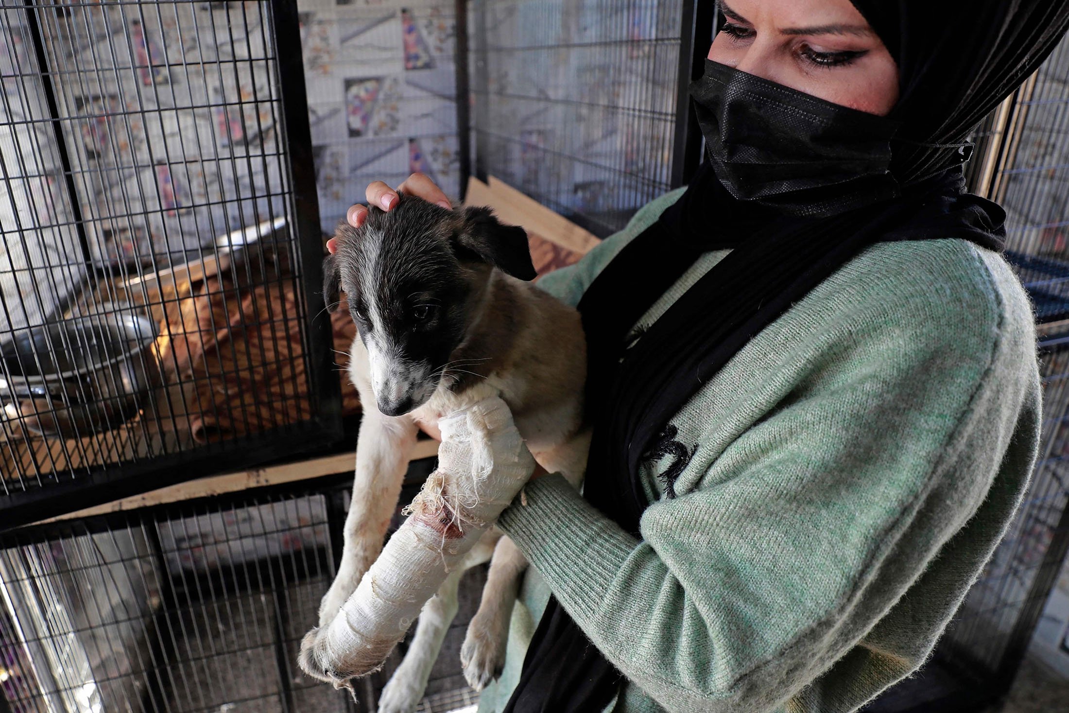 Seorang dokter hewan sukarelawan di Baghdad Animal Rescue, memegang seekor anjing yang terluka di tempat penampungan, di sebelah barat ibukota Baghdad, Irak, 16 Januari 2022. (AFP Photo)
