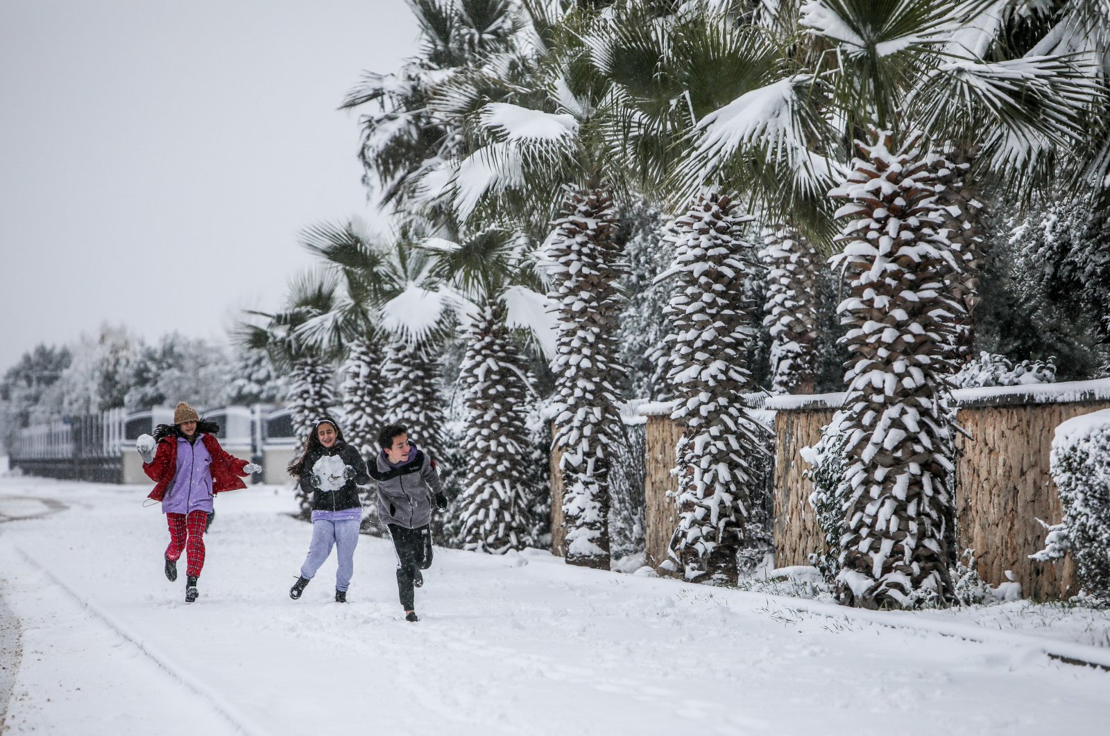 Children throw snowballs next to snow-covered palm trees in Antalya, southern Turkey, Jan. 25, 2022. (DHA PHOTO) 