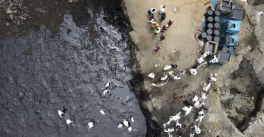 Workers continue in a clean-up campaign after an oil spill, on Cavero Beach in the Ventanilla district of Callao, Peru, Jan. 22, 2022. (AP Photo)