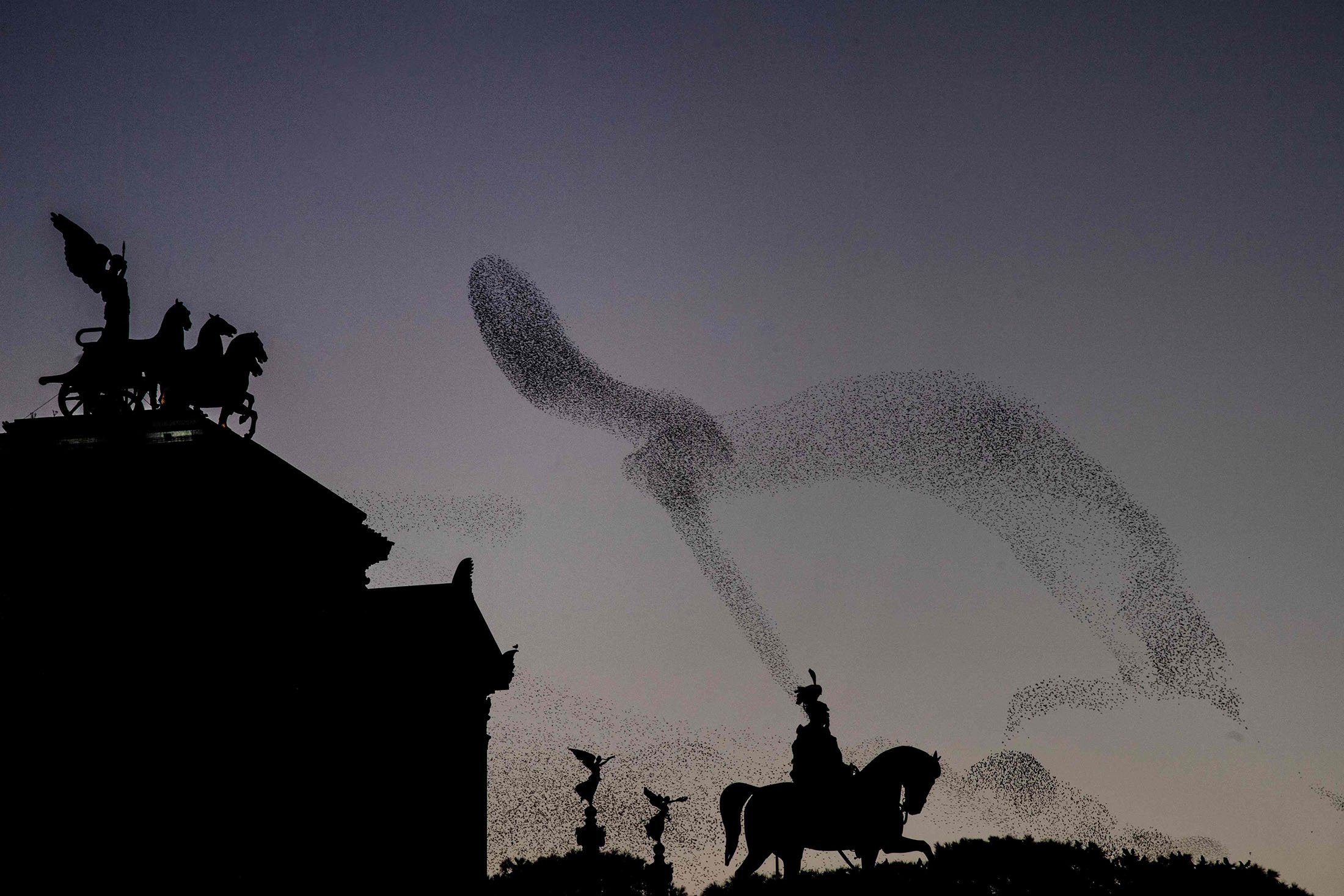 Jalak terbang di atas monumen Altare della Patria di Roma, Italia, 30 November 2020. (AFP Photo)