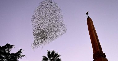 Wintering starlings fly over Piazza dei Cinquecento by the Termini railway station in downtown Rome, Italy, Jan. 14, 2022. (AFP Photo)