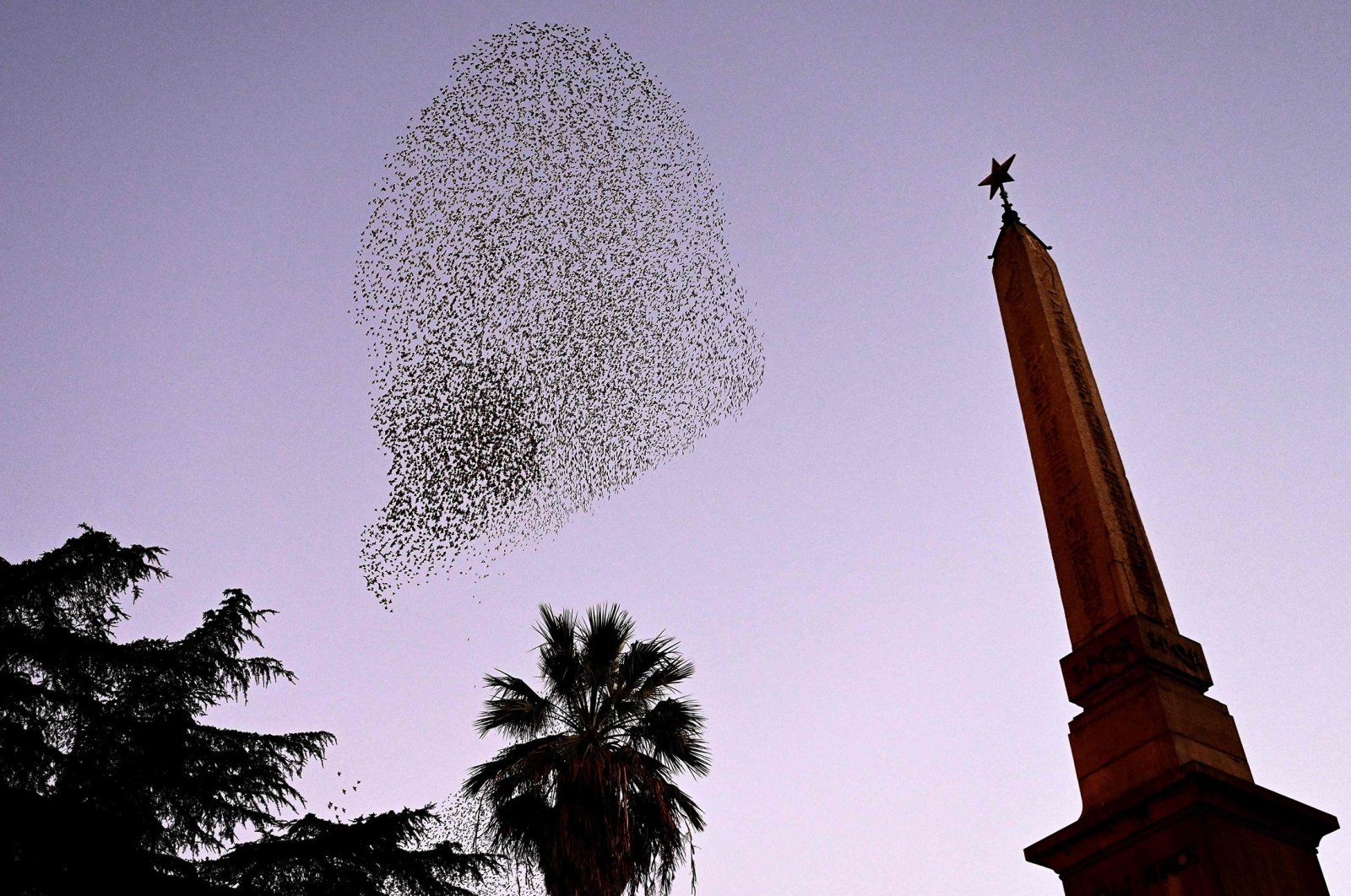 Wintering starlings fly over Piazza dei Cinquecento by the Termini railway station in downtown Rome, Italy, Jan. 14, 2022. (AFP Photo)