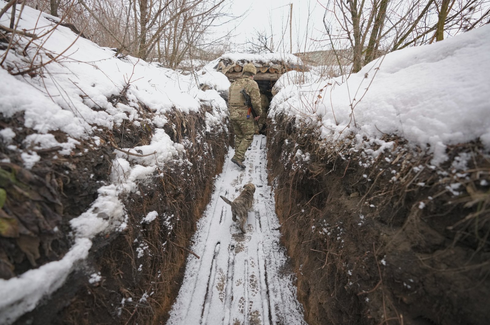 A Ukrainian soldier is followed by a puppy as he walks through a trench at a frontline position in the Luhansk region, eastern Ukraine, Feb. 1, 2022. (AP Photo)