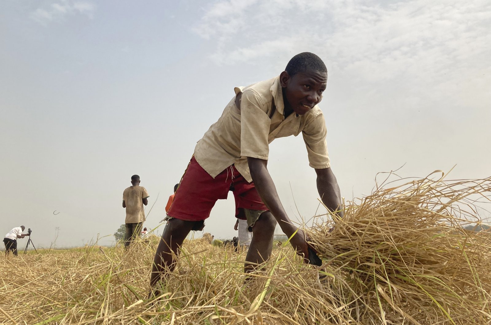 Mohammed Abdul, a farmer who said he &quot;had to start from the beginning&quot; after losing all his farm&#039;s production potential in violent attacks in Nigeria&#039;s north, works on a rice farm in Agatu village on the outskirts of Benue State in northcentral Nigeria, Jan. 5, 2022. (AP Photo)