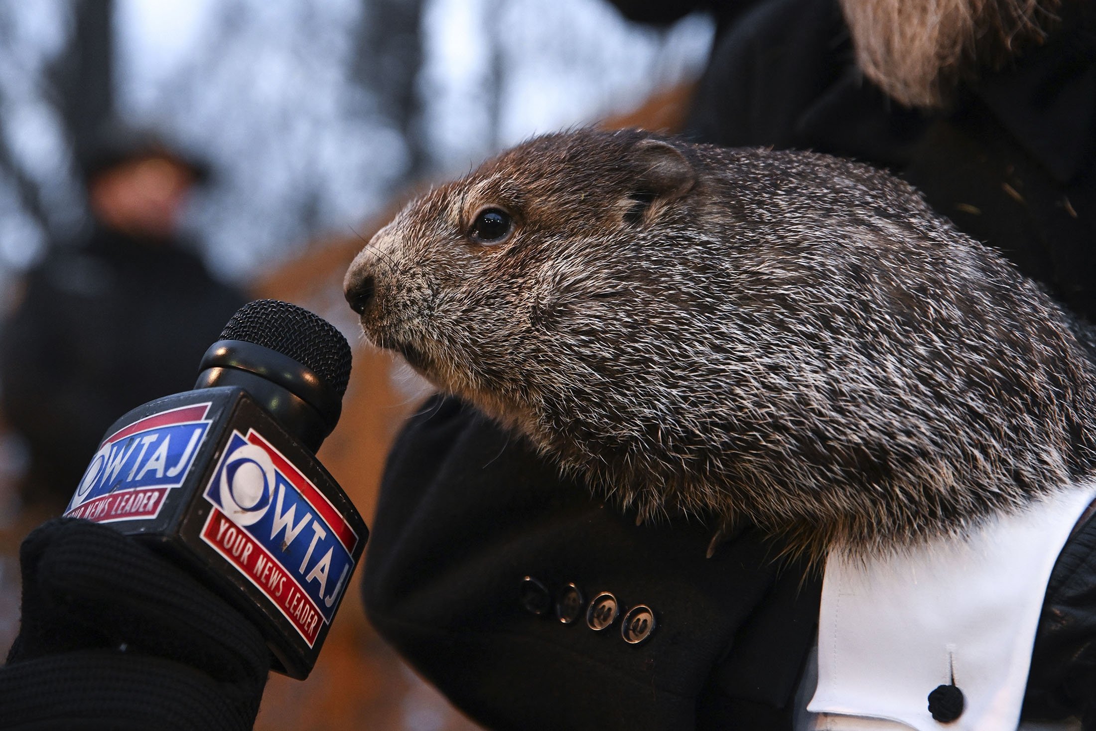 Groundhog Club handler A.J. Dereume holds Punxsutawney Phil, the weather prognosticating groundhog, during the 136th celebration of Groundhog Day on Gobbler's Knob in Punxsutawney, Pennsylvania, U.S., Feb. 2, 2022. (AP Photo)