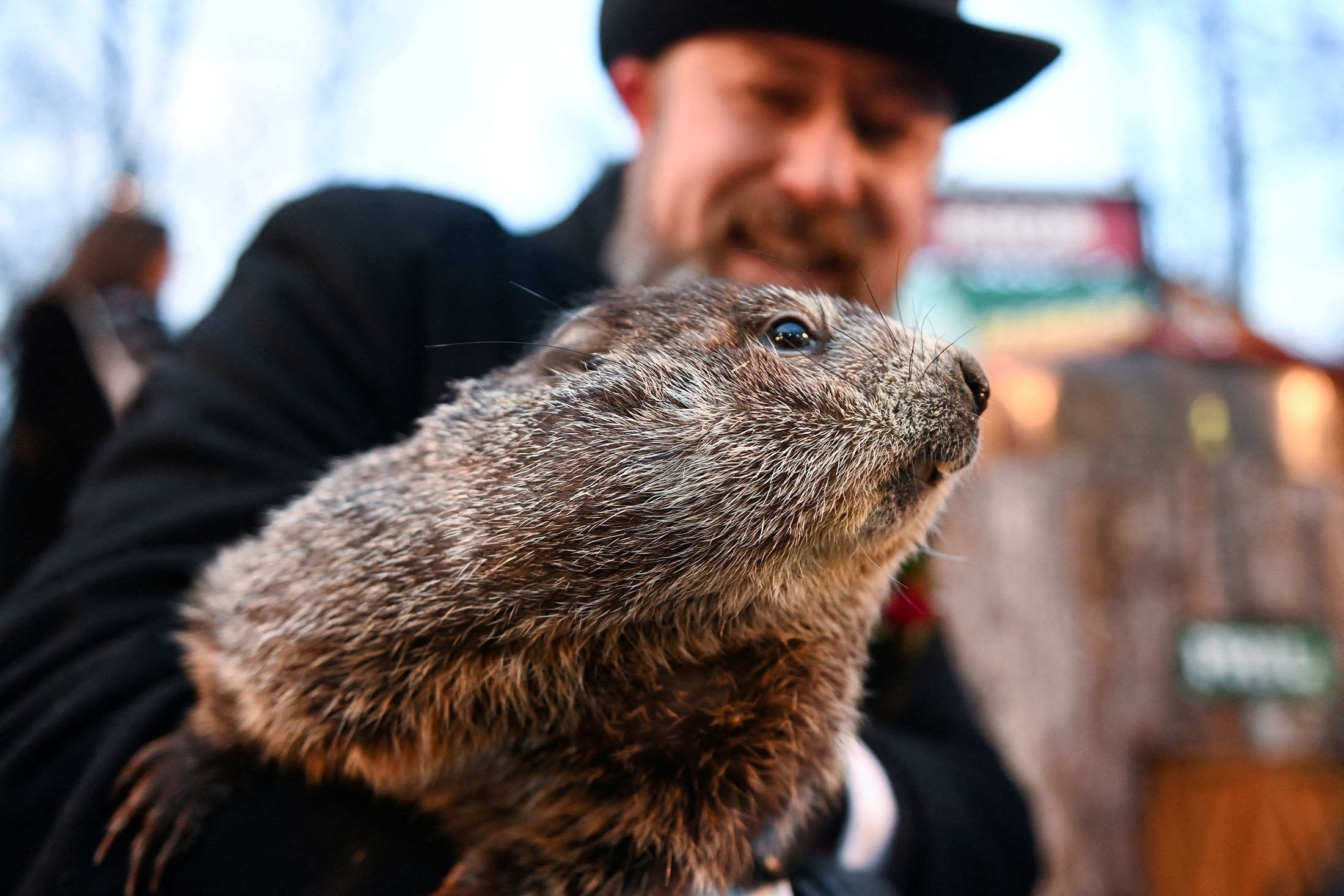 Punxsutawney Phil's handler A.J. Dereume holds the famous groundhog during the 136th Groundhog Day, at Gobblers Knob in Punxsutawney, Pennsylvania, U.S., Feb. 2, 2022. (Reuters Photo)