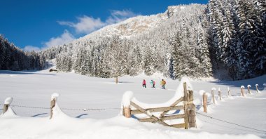 A bit of inner peace and calm in the midst of breathtaking nature? A new series of snowshoe hikes in Austria are designed to achieve just that. (Franz Gerdl/dpa Photo)