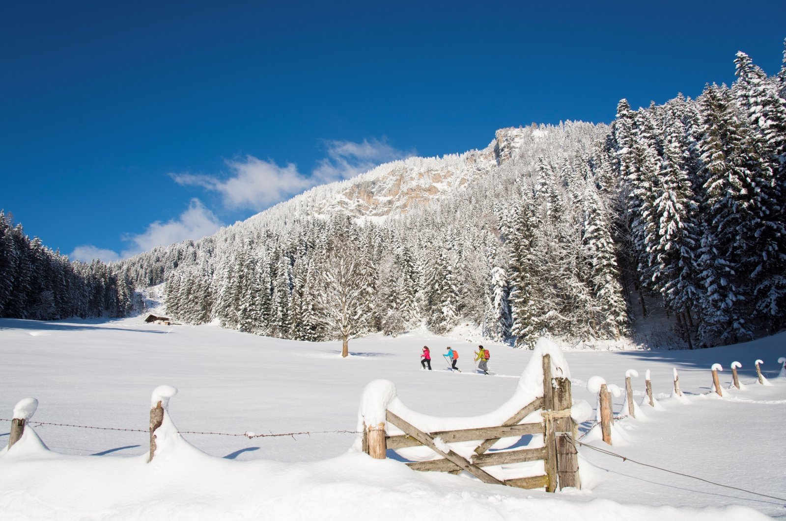 A bit of inner peace and calm in the midst of breathtaking nature? A new series of snowshoe hikes in Austria are designed to achieve just that. (Franz Gerdl/dpa Photo)