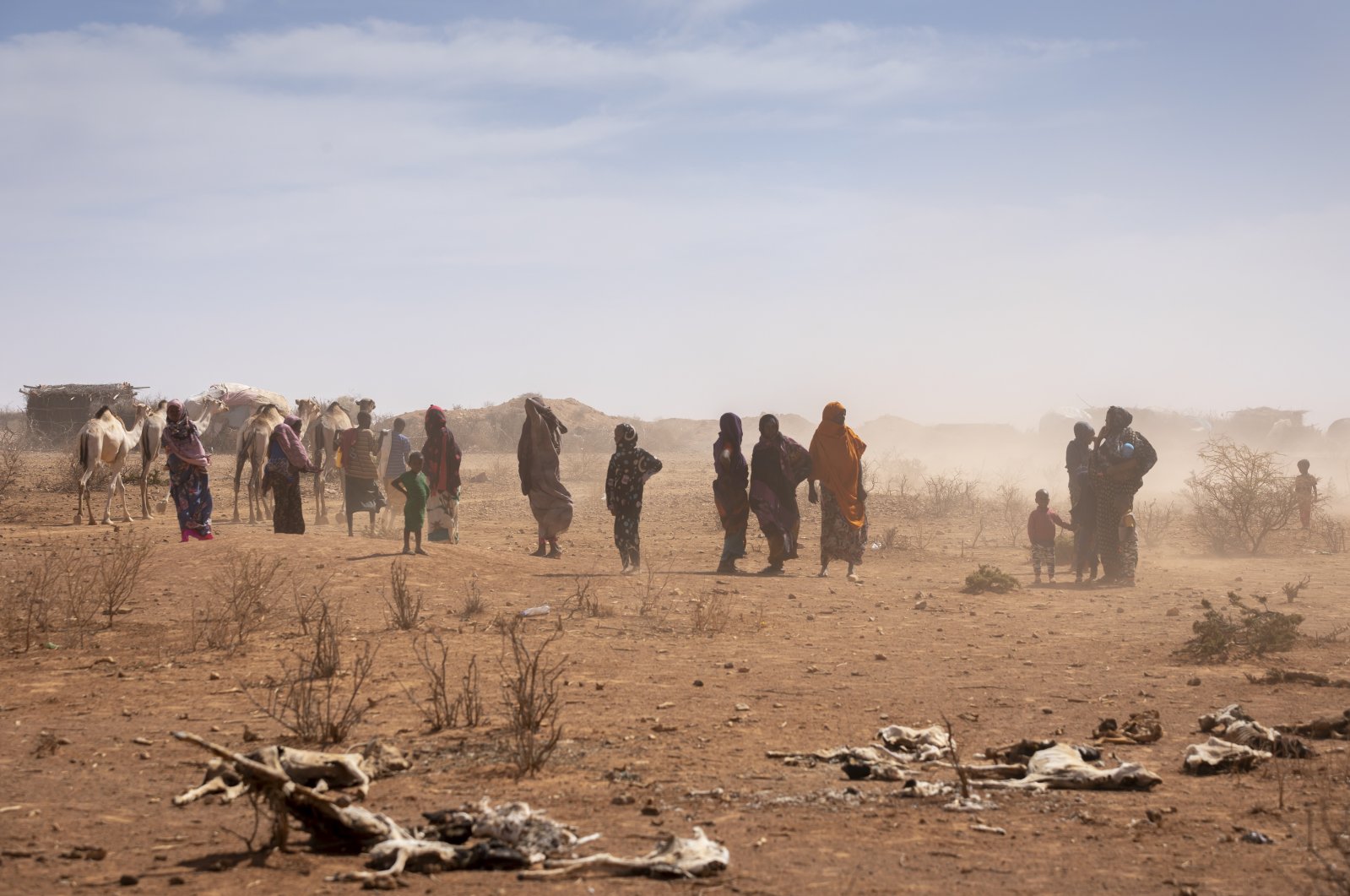 Women and children walk past animal carcasses near Sagalo village in the Korahe zone of the Somali region of Ethiopia, Jan. 21, 2022. (Photo care of UNICEF via AP)
