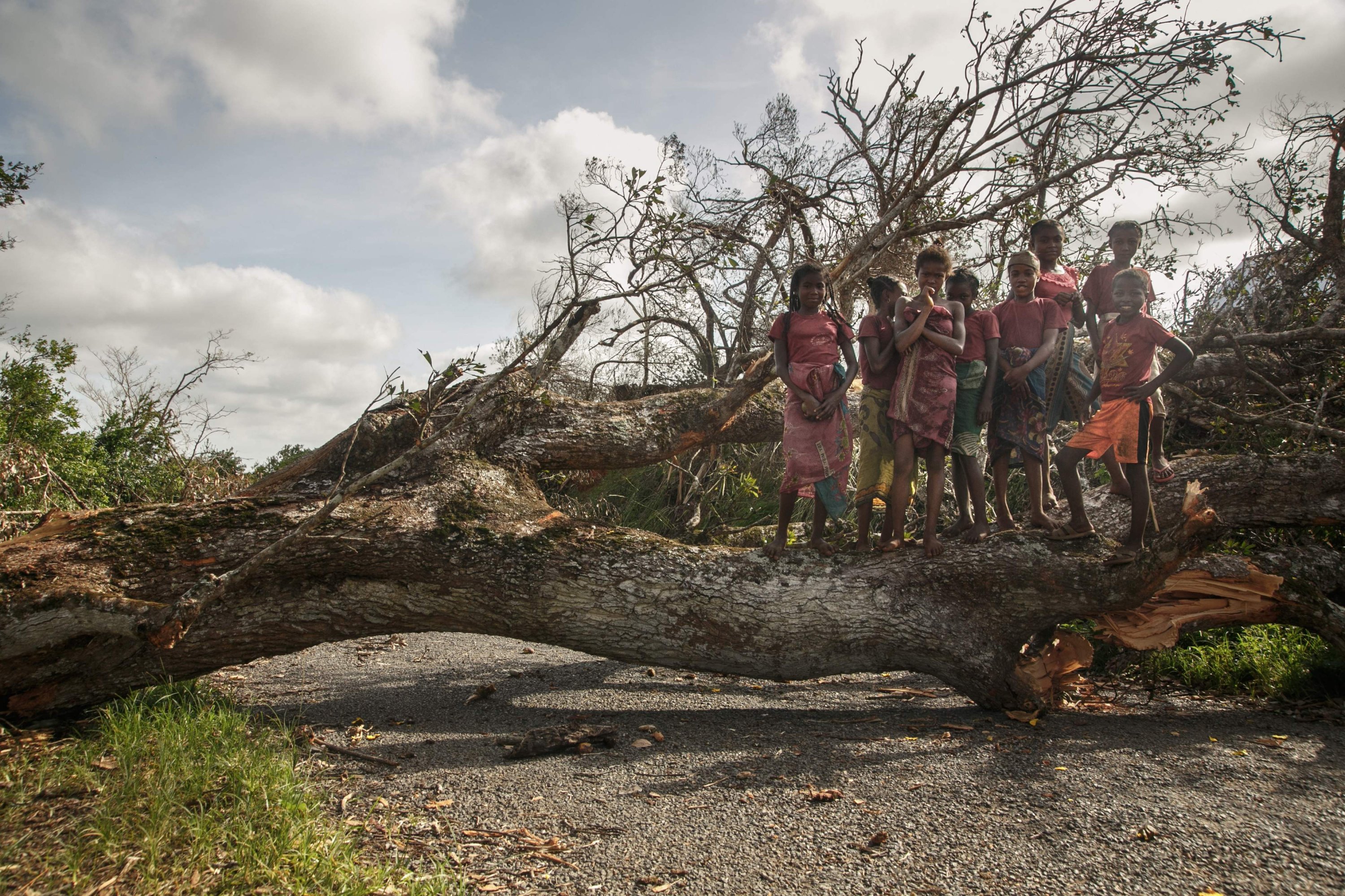 Children play on fallen trees following the passage of cyclone Batsirai that completely obstructed the RN25 leading to Mananjary, Madagascar, Feb. 8, 2022. (AFP Photo)