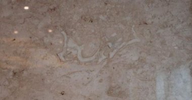 Writing in the form of Basmala discovered on 195 million-year-old marble in the Mediterranean province of Antalya. (AA Photo)