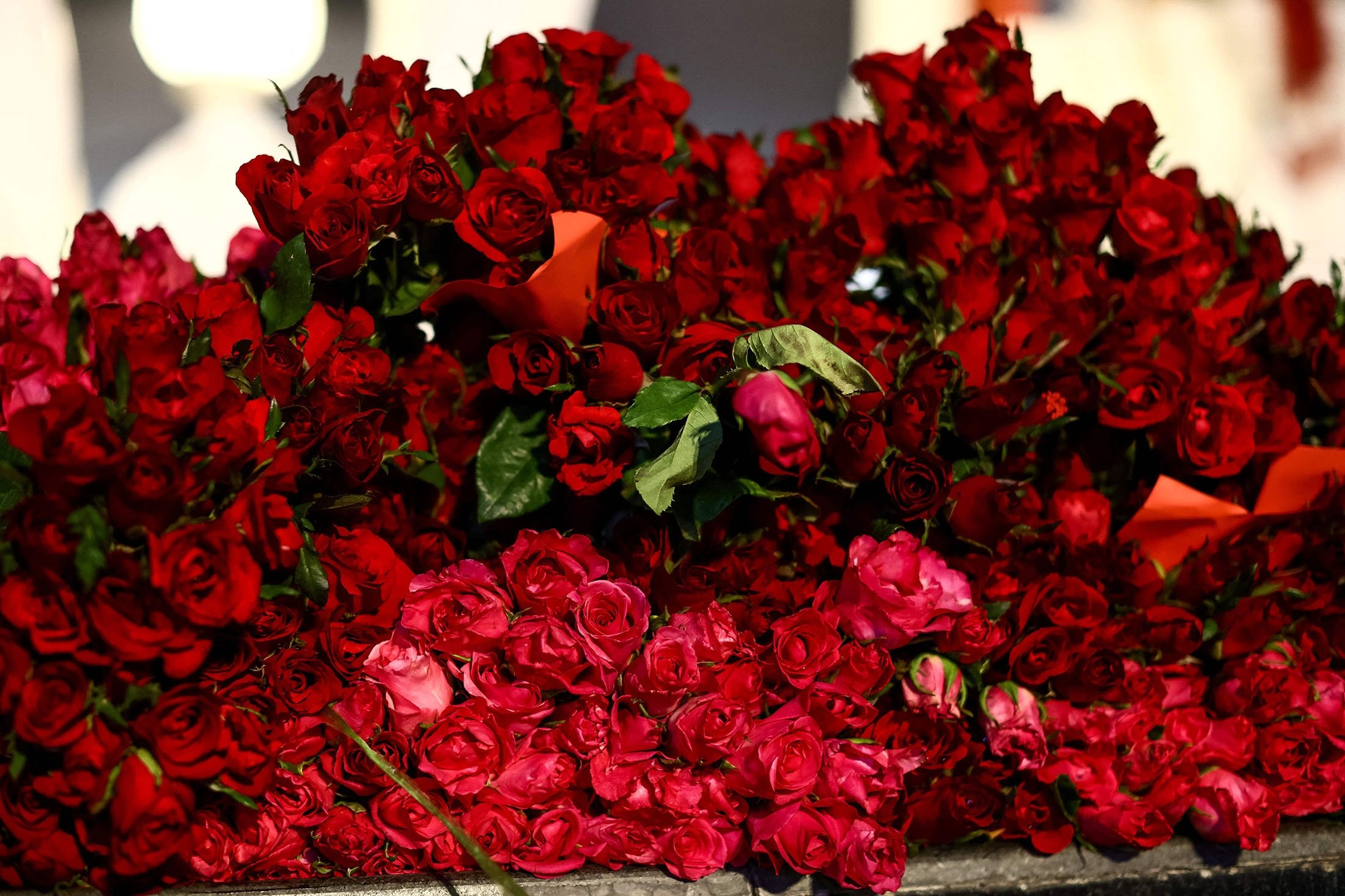 Red roses are left in a pile at the Trimurti Shrine, believed to bring love to those who worship before it, on Valentine's Day, Bangkok, Thailand, Feb. 14, 2022. (AFP Photo)