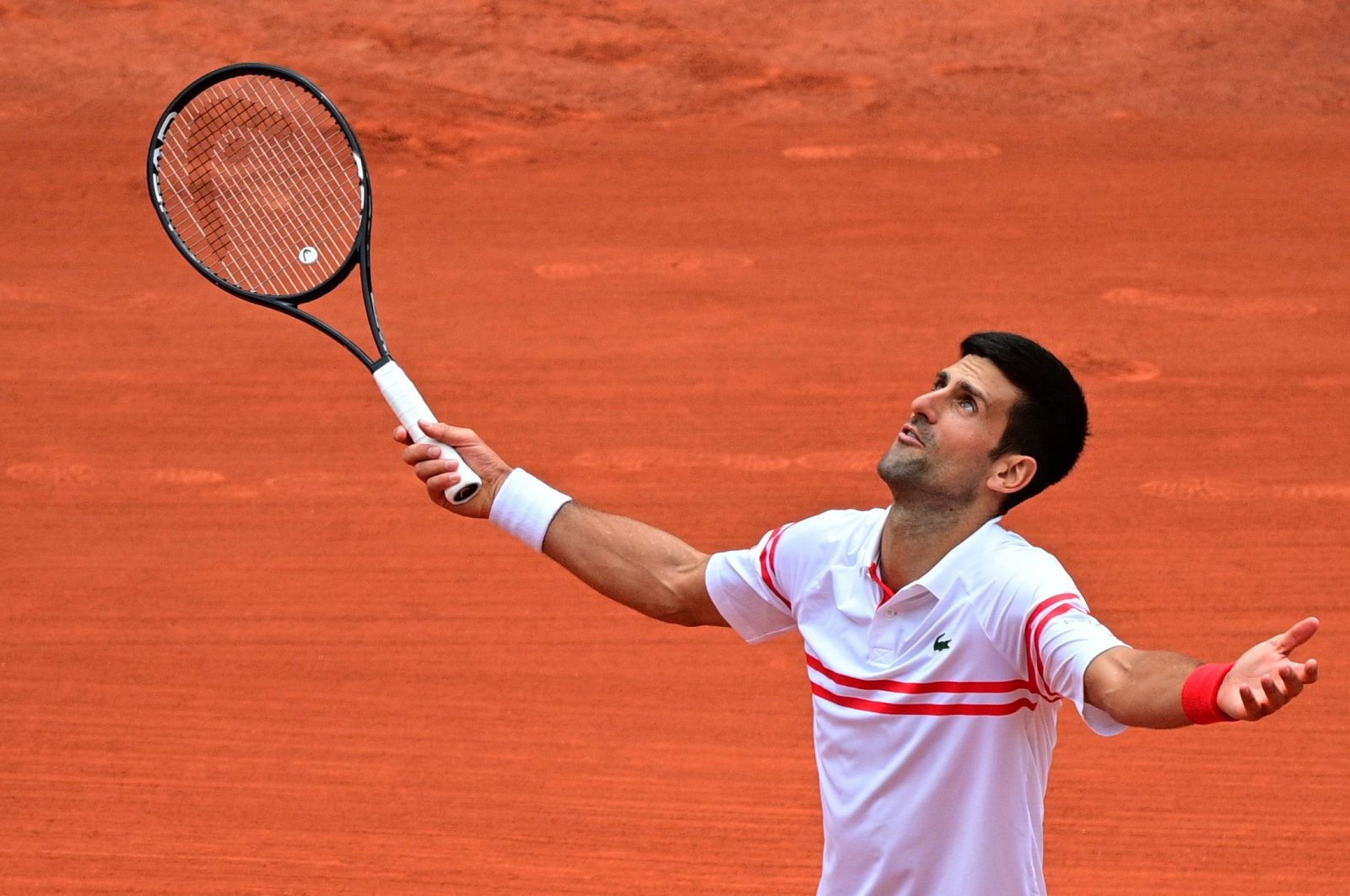Serbia&#039;s Novak Djokovic reacts during a French Open 2021 match against Italy&#039;s Lorenzo Musetti, Paris, France, June 7, 2021. (AFP Photo)
