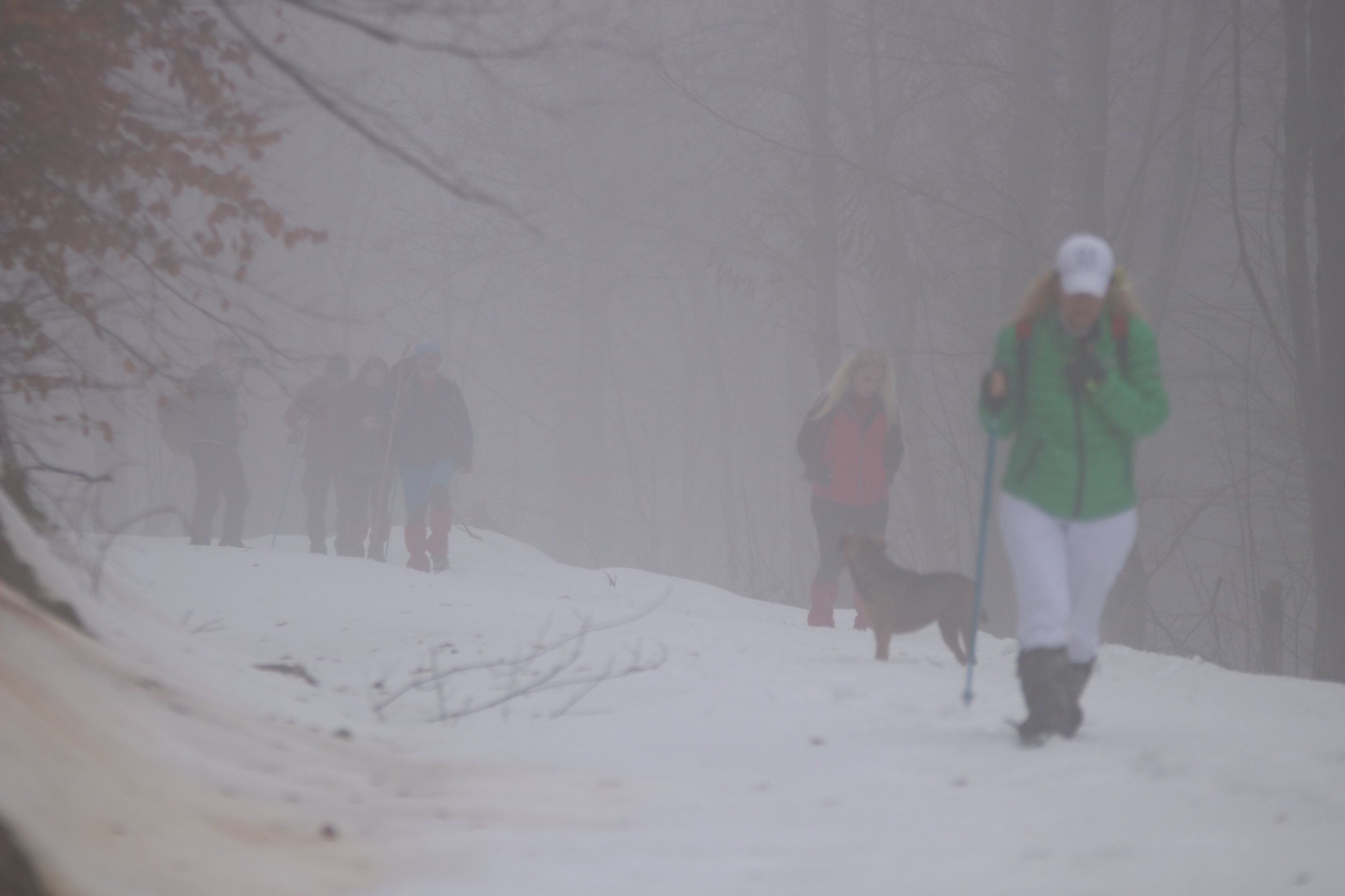 Trekking through fog along the 16-kilometer Kurtköy-Güneyköy part of the 801-kilometer "Sufi Trail" that stretches from Istanbul to Konya in central Turkey and takes 40 days to complete, Feb. 13, 2022. (AA Photo)