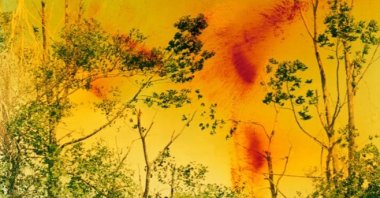 A work by Wolfgang Tillmans. (Courtesy of MoMA) 