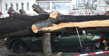 A car is destroyed by a fallen tree in Cologne, Germany, Feb. 21, 2022. (AP Photo)