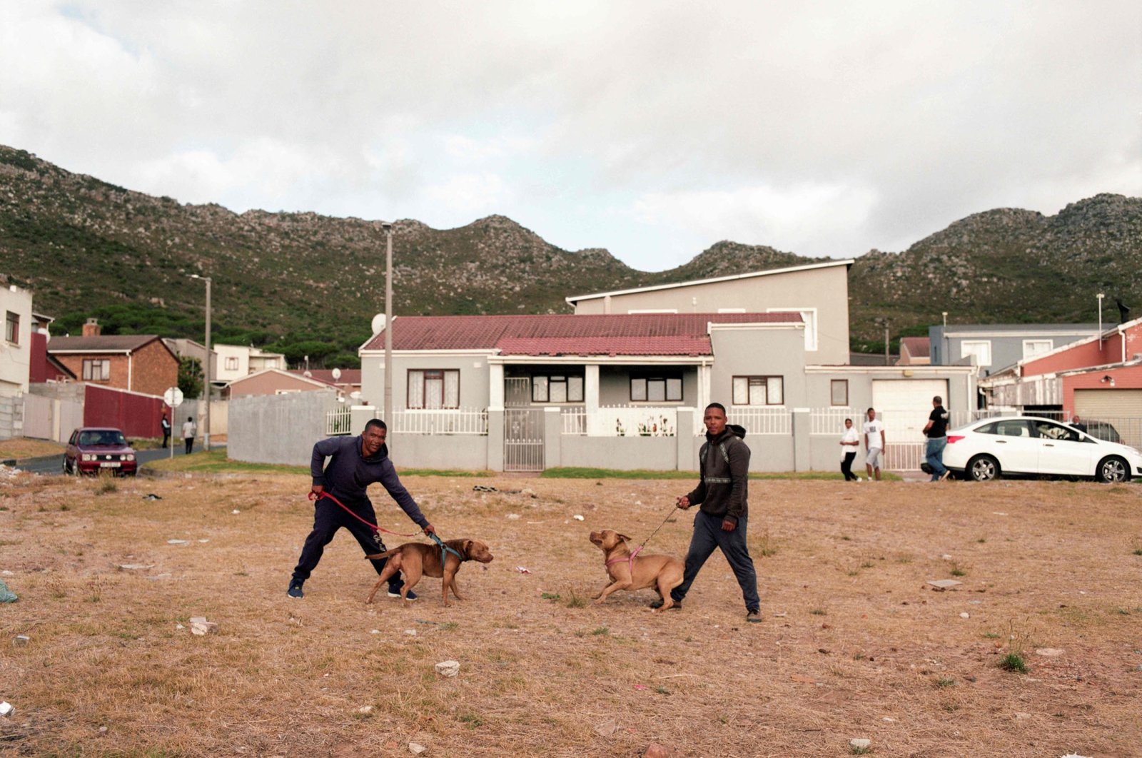 Men pose with their dogs in Ocean View, Cape Town, South Africa, Feb. 3, 2022. (AFP Photo)
