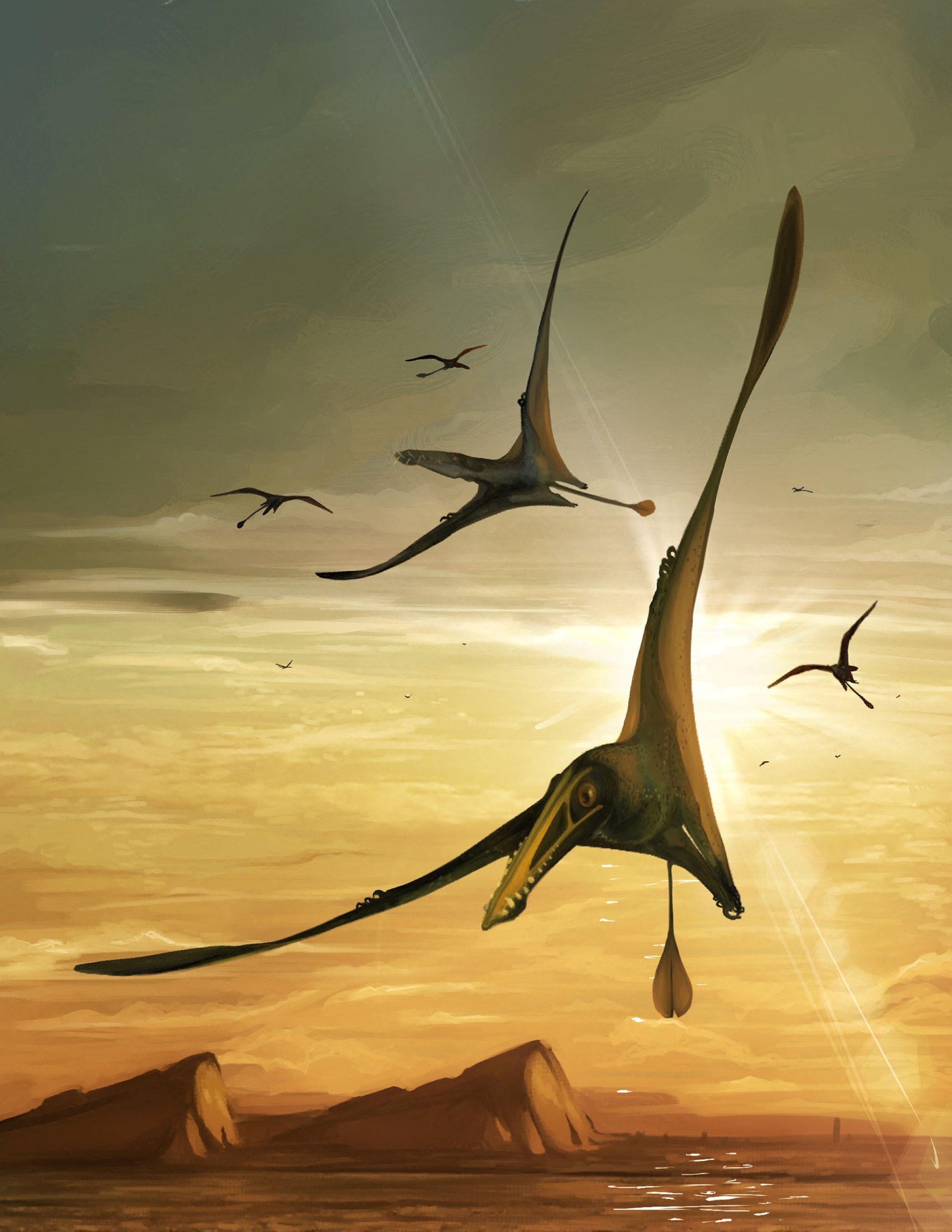 An illustration shows the newly identified Jurassic Period flying reptile, or pterosaur, called 