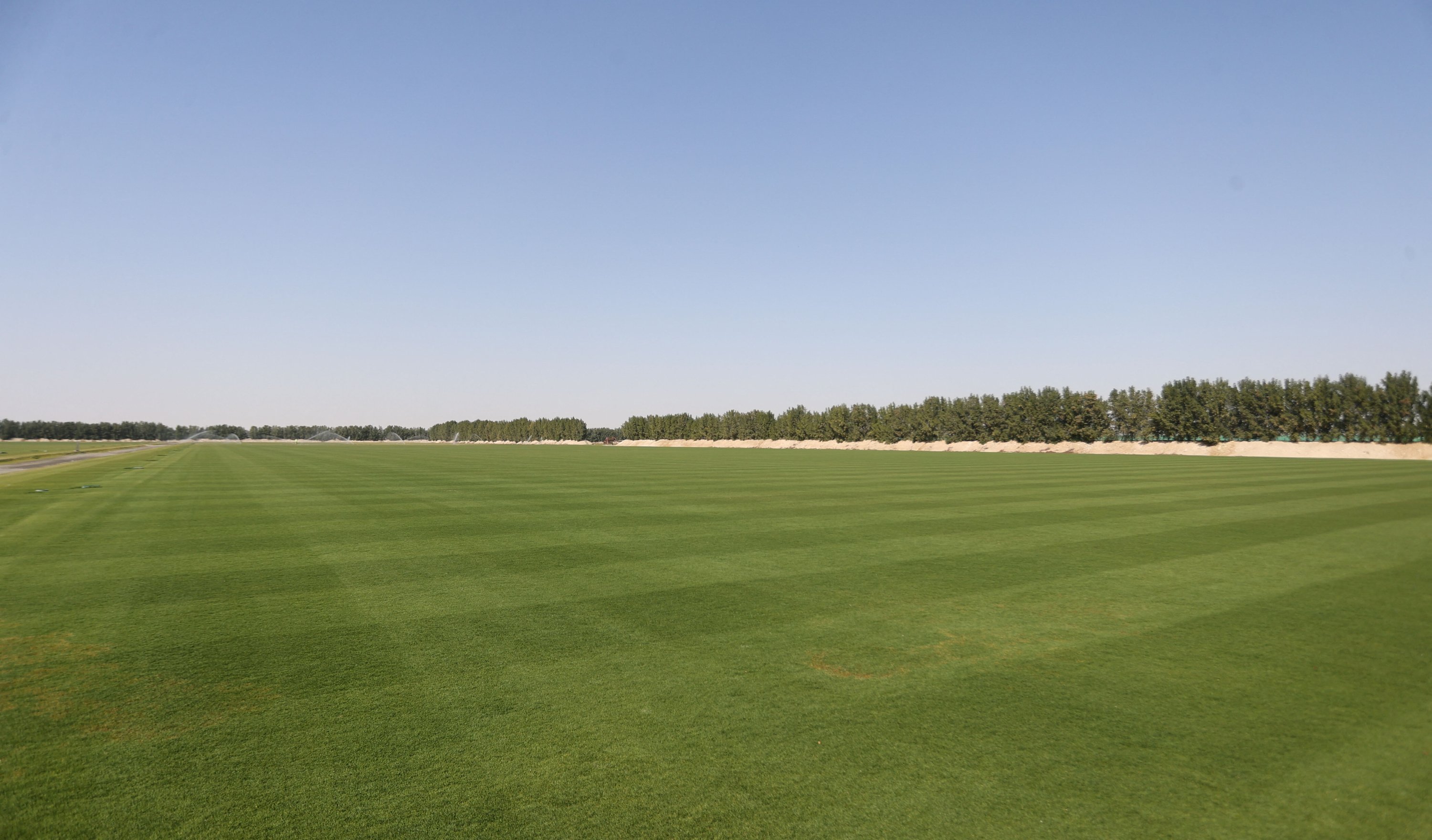 A general view of a turf nursery at the Umm Slal, in Doha, Qatar, Feb. 3, 2022. (Reuters Photo)