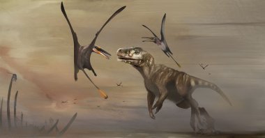 An illustration shows the newly identified Jurassic Period flying reptile, or pterosaur, called "Dearc sgiathanach," whose fossil was found on a rocky beach at Scotland's Isle of Skye, flying alongside a large meat-eating dinosaur. (Natalia Jagielska via Reuters)