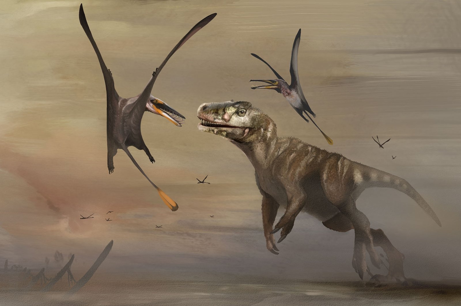 An illustration shows the newly identified Jurassic Period flying reptile, or pterosaur, called &quot;Dearc sgiathanach,&quot; whose fossil was found on a rocky beach at Scotland&#039;s Isle of Skye, flying alongside a large meat-eating dinosaur. (Natalia Jagielska via Reuters)
