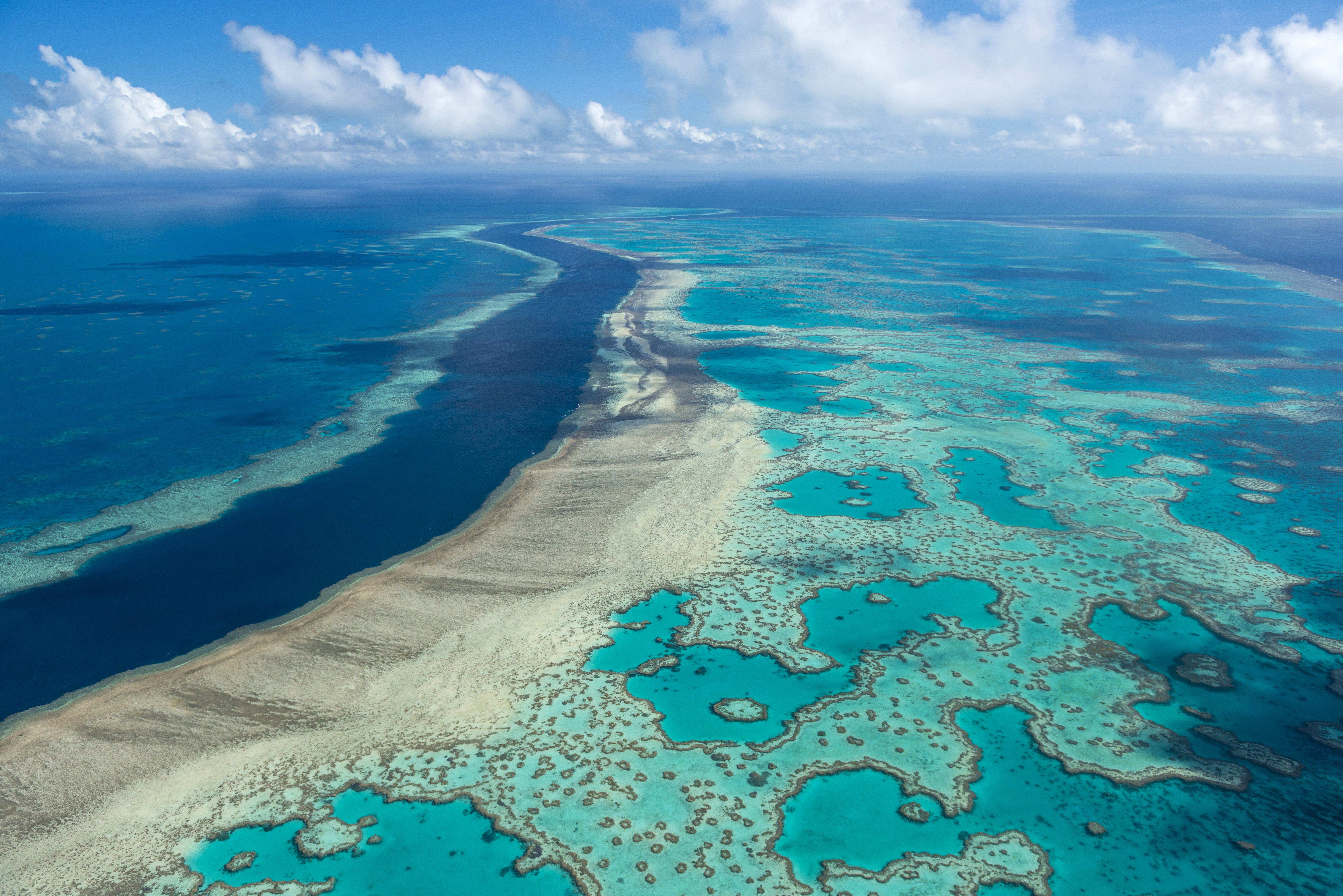 This photo provided by the Great Barrier Reef Marine Park Authority shows the Hardy Reef near the Whitsunday Islands, Australia, June 22, 2014. (Photo via AP)