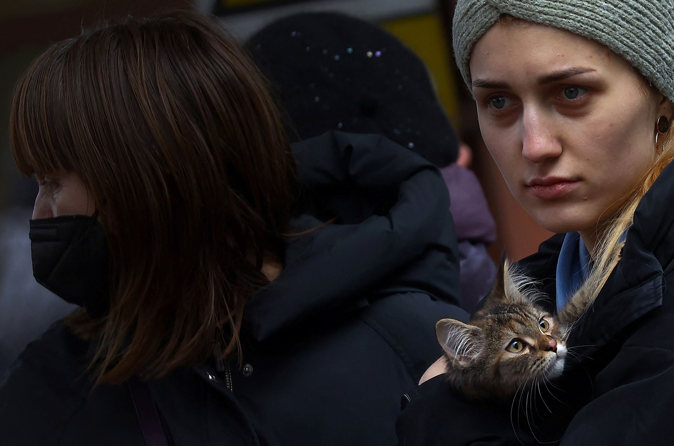 No one left behind: Leaving Ukrainians take pets along | Daily Sabah