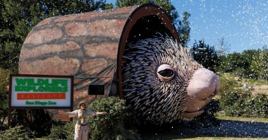 A world record-sized puppet, Percy the Porcupine, was built to promote a new area at the San Diego Zoo, California, U.S., March 1, 2022. (Reuters Photo)