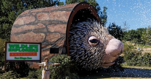A world record-sized puppet, Percy the Porcupine, was built to promote a new area at the San Diego Zoo, California, U.S., March 1, 2022. (Reuters Photo)