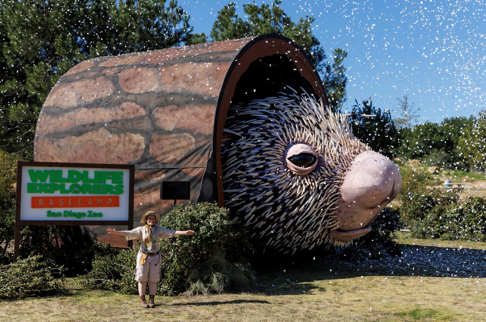 A world record-sized puppet, Percy the Porcupine, was built to promote a new area at the San Diego Zoo, California, U.S., March 1, 2022. (Reuters Photo)