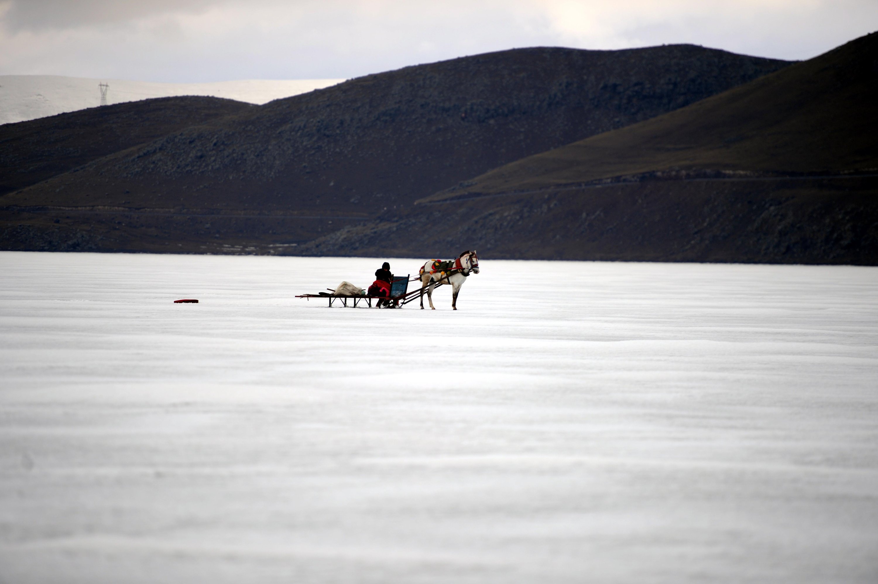Donmuş Geldir Gölü'nde atlı kızak, Kars, Türkiye, 3 Mart 2022. (AA)