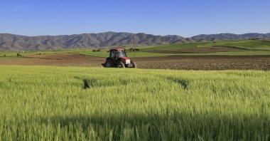 A tractor is seen on a wheat and barley farm in eastern Elazığ province, Turkey, May 21, 2021. (AA Photo)