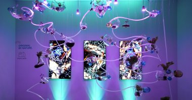 A general view from the "Original by Nature" exhibition. 