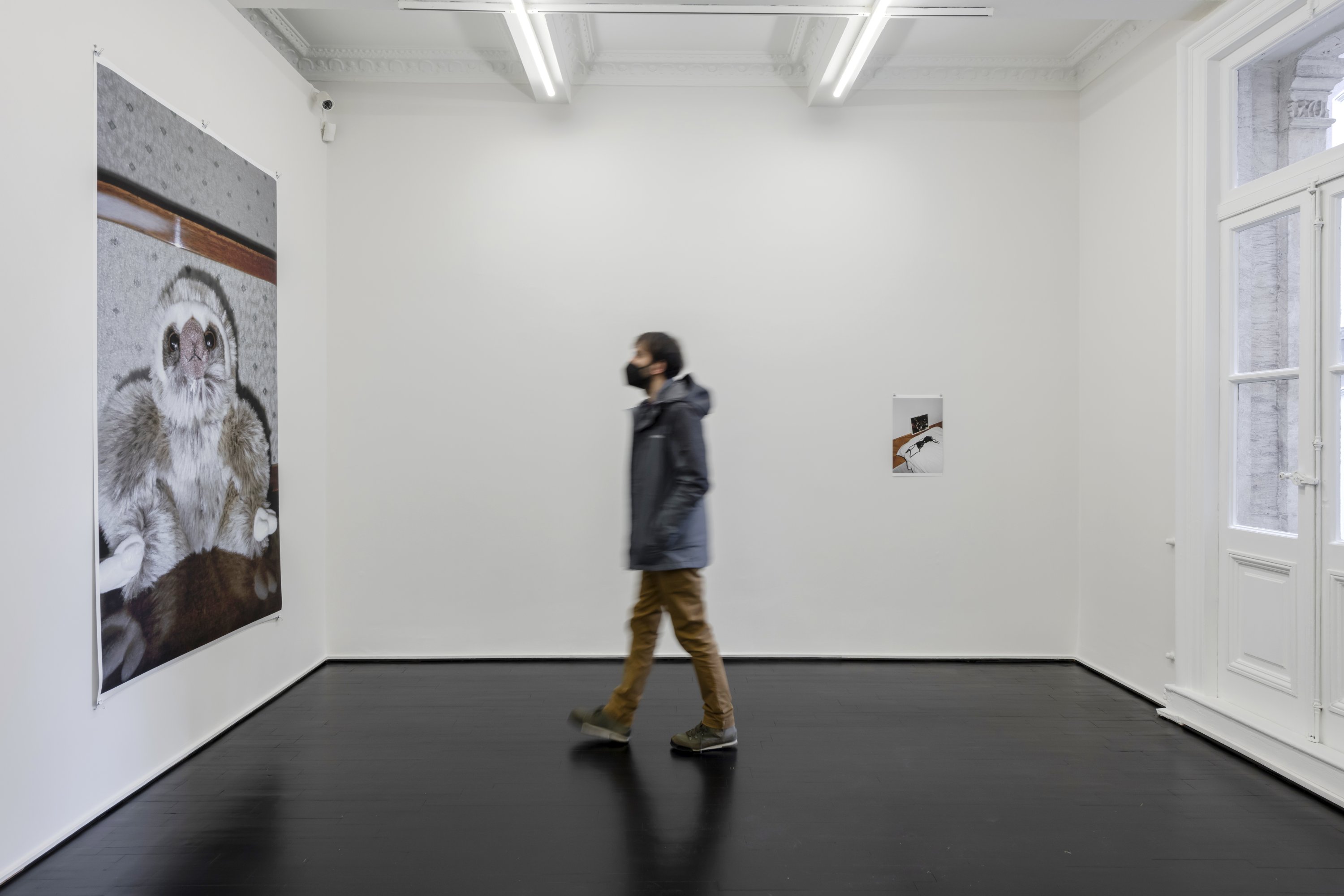 An installation view of Selim Süme 