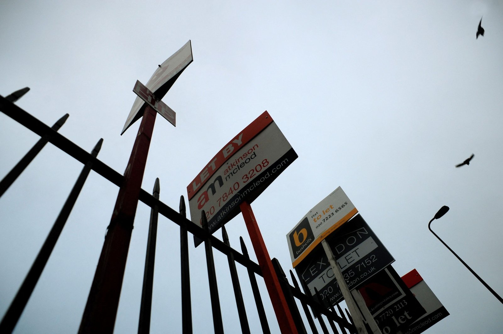 Birds take to the early morning sky as they fly over a row of estate agent signs, in London, U.K., Dec.15, 2008. (Reuters Photo)