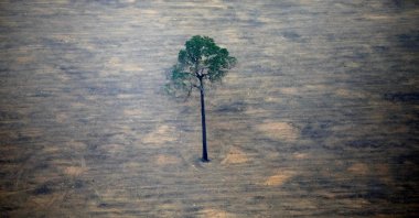 An aerial view shows a deforested plot of the Amazon near Porto Velho, Rondonia State, Brazil, Sept. 17, 2019. (Reuters Photo)