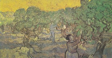Vincent Van Gogh, "Olive Orchard with a Man and a Woman Picking Fruit." (Wikimedia)