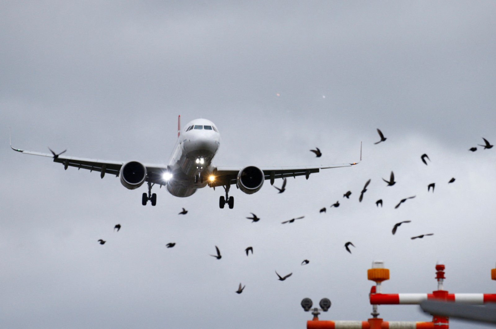 A flock of birds flies as an Airbus A321 aircraft of Turkish Airlines prepares to land at Zurich Airport near Kloten, Switzerland, Feb. 21, 2022. (Reuters Photo)