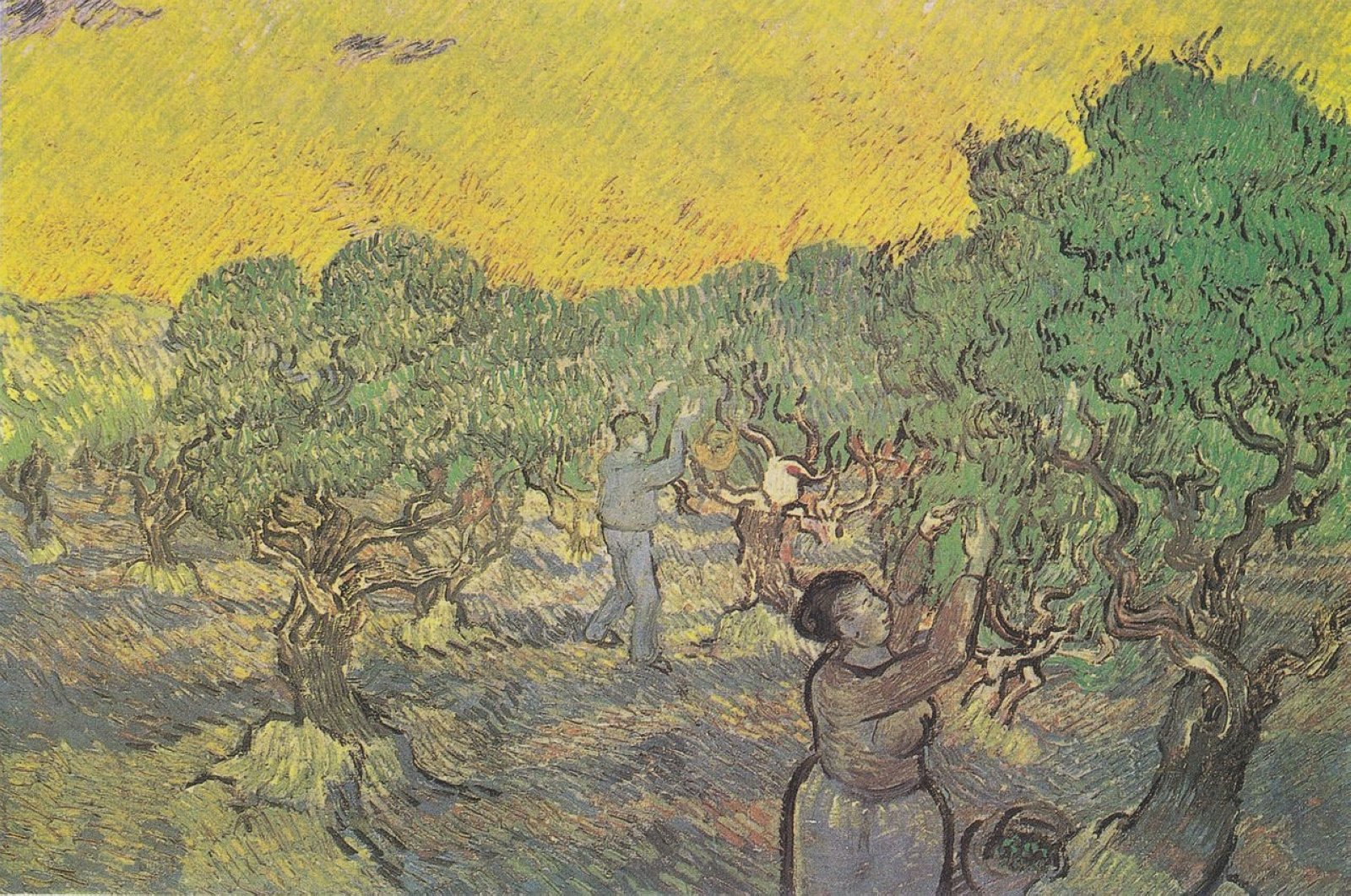 Pertunjukan unik untuk menampilkan semua kebun zaitun Van Gogh untuk pertama kalinya