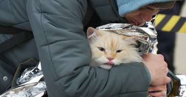 Ukrainian Anastasia Klimenko covers a cat named Amur with a blanket after fleeing the war in neighboring Ukraine, at the border crossing in Palanca, Moldova, Thursday, March 10, 2022. (AP Photo/Sergei Grits)