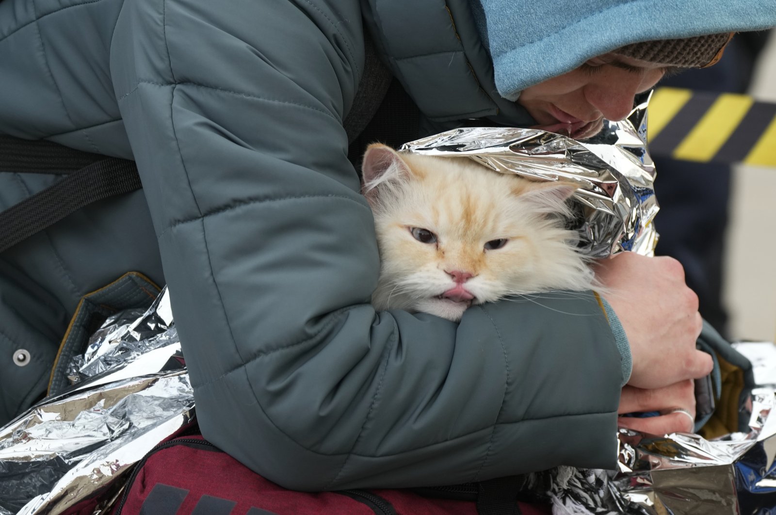 Ukrainian Anastasia Klimenko covers a cat named Amur with a blanket after fleeing the war in neighboring Ukraine, at the border crossing in Palanca, Moldova, Thursday, March 10, 2022. (AP Photo/Sergei Grits)