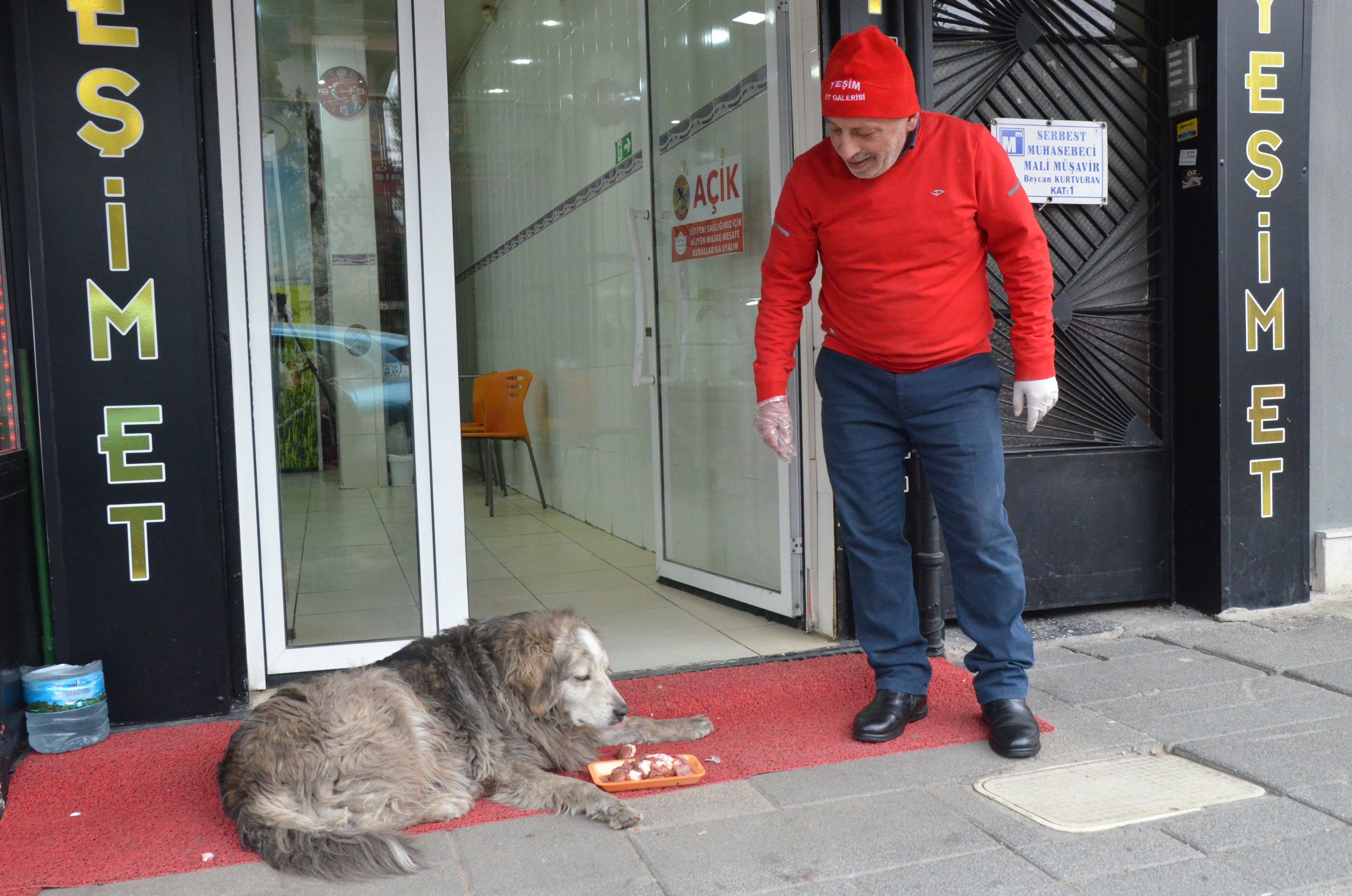 Tukang jagal melihat anjing liar memakan makanan yang dia berikan di luar tokonya, di Manisa, Turki barat, 14 Maret 2022. (AA Photo)